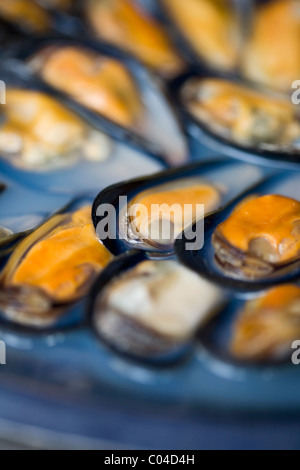 Muscheln in einem Restaurant in Libourne, Frankreich Stockfoto