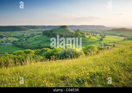 Downham Hill aus Uley begraben. Die Cotswolds. Gloucestershire. England. VEREINIGTES KÖNIGREICH. Stockfoto