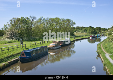 Schmale Boote vertäut am Leeds-Liverpool-Kanal bei Scarisbrick, Lancashire Stockfoto