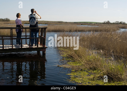 Parque Nacional de Las Tablas de Daimiel, Ciudad Real, Kastilien-La Mancha, Spanien Stockfoto