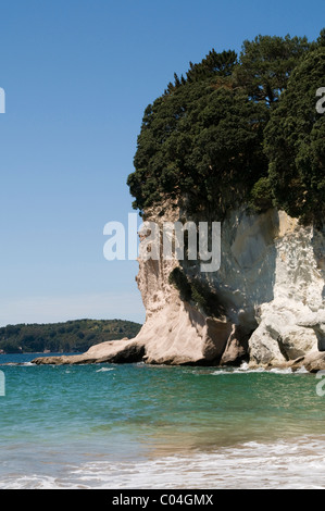 Cathedral Cove ist ein Meeresschutzgebiet und beliebten touristischen Ort an der Küste von Neuseeland Coromandel-Halbinsel. Stockfoto