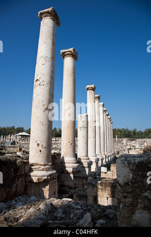 Archäologische Ausgrabungen, Konservierung und Rekonstruktion in Bet Shean Nationalpark Israel Stockfoto