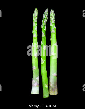 Frischer Spargel auf schwarzem Hintergrund isoliert. Charles Lupica Stockfoto