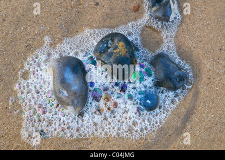 Meer Kies und Schaum Bläschen am Strand Stockfoto
