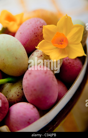 Candy geschält Mini Schokoladeneier in französischen dekorativen Karton Ei mit kleinen Narzissen auf Tischdecke Stockfoto