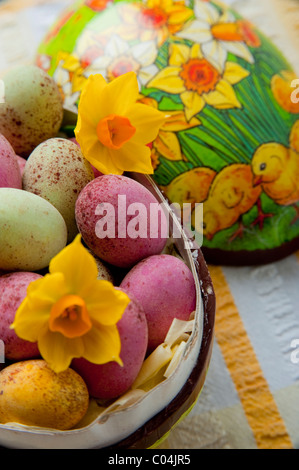 Candy geschält Mini Schokoladeneier in französischen dekorativen Karton Ei mit kleinen Narzissen auf Tischdecke Stockfoto