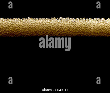 Nahaufnahme von Luftblasen von Coca cola Stockfoto