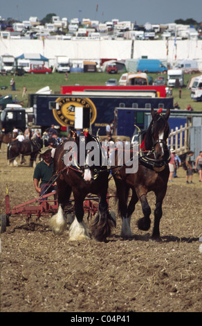 Pflügen Wettbewerb Great Dorset Steam Fair 2005 Stockfoto