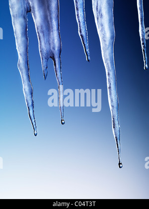 Schmelzende Eiszapfen auf blauem Hintergrund isoliert Stockfoto