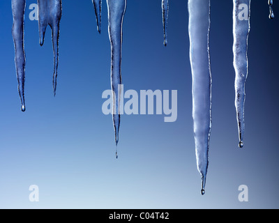 Schmelzende Eiszapfen auf blauem Hintergrund isoliert Stockfoto