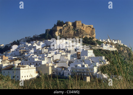 Die maurische Burg über der Stadt von Salobrena an der Costa Tropical, Granada, Andalusien, Spanien Stockfoto