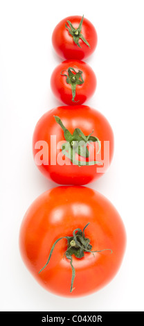 Tomaten Line-up von vier verschiedenen Sorten isoliert auf weiss. Stockfoto