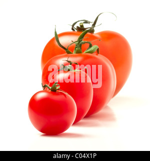 Tomaten Line-up von vier verschiedenen Sorten isoliert auf weiss. Stockfoto