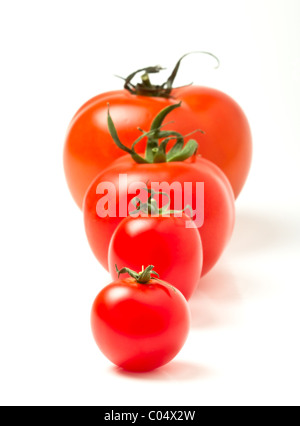 Tomaten Line-up von vier verschiedenen Sorten isoliert auf weiss. Stockfoto