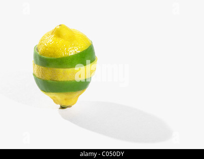 Lemon Lime auf weiß im Studio Stockfoto