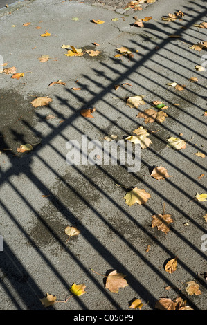 Schatten des viktorianischen Geländer geworfen auf dem Blatt übersäten Boden an einem sonnigen Herbsttag Stockfoto