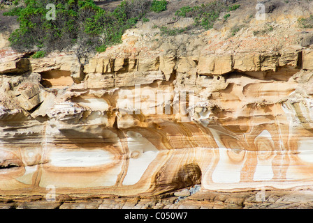 Gemalte Felsen vom Meer, Maria Island National Park, Tasmanien, Australien, Süd-Pazifik gesehen Stockfoto