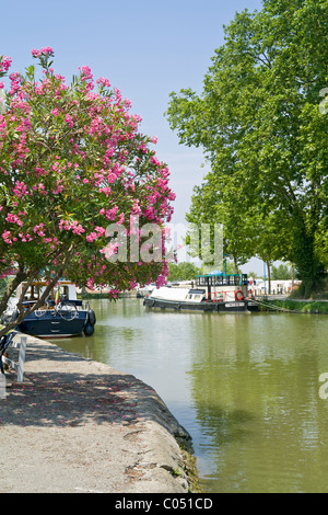 Die französischen Hafen Homps auf dem Canal du Midi Frankreich Stockfoto