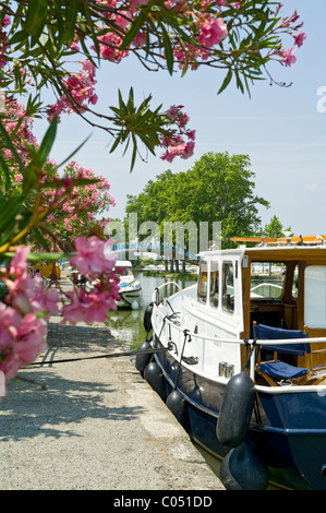 Die französischen Hafen Homps auf dem Canal du Midi Frankreich Stockfoto