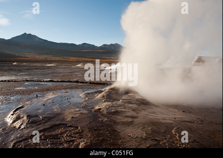 El Tatio ist das größte Geysirfeld in der südlichen Hemisphäre, in den Anden im Norden Chiles auf 4.200 m. Stockfoto