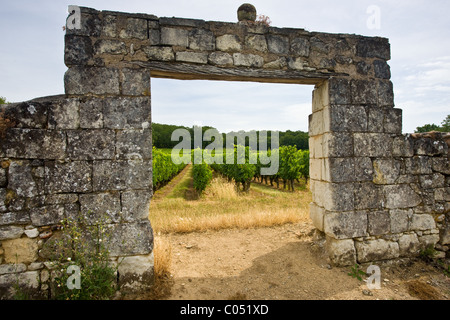 Die Reben von Saumur Champigny durch einen alten steinernen Torbogen, Loiretal, Frankreich Stockfoto