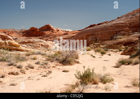 Eine unbenannte Waschanlage in der Nähe von Rainbow Vista in Nevadas Valley of Fire State Park Stockfoto