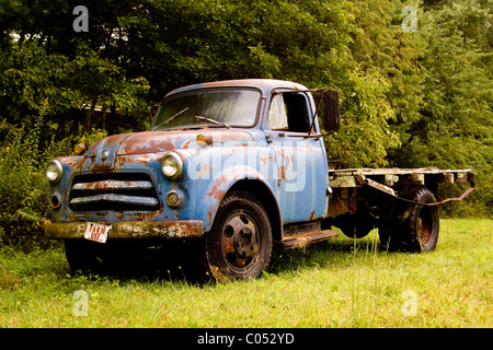 Ein rostige der 1950er Jahre Vintage Bauernhof verwenden blauen Dodge Ram Tieflader in einem Feld entlang einer Linie der Baum in der Nähe von Virginia Blue Ridge Parkway. Stockfoto