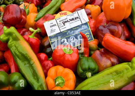 Regionale Produkte, rote Paprika, grüne Paprika und gelbe Paprika zum Verkauf an Bauernmarkt in der Normandie, Frankreich Stockfoto