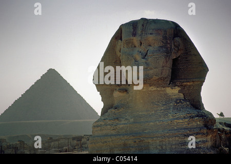 Sphynx, Plateau von Gizeh, Kairo, Ägypten, Afrika Stockfoto
