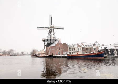 Windmühle in niederländischen Stadt im Winter, Haarlem, Niederlande. Stockfoto