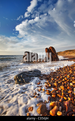 Australier / Hallett Cove Fleurieu-Halbinsel in South Australia Stockfoto