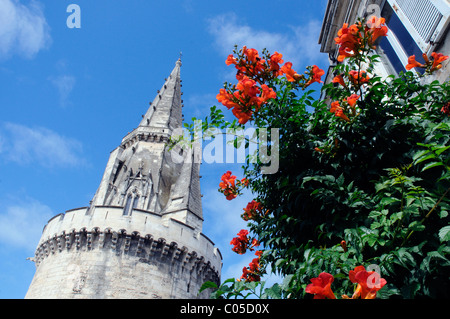 Tour De La Lanterne Turm am Hafen von La Rochelle Stockfoto
