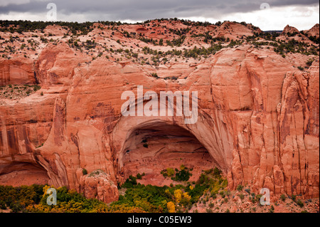 Navajo National Monument Betatakin bedeutet "Haus gebaut auf einem Felsvorsprung" Dies ist ein Beispiel für eine Indian Pueblo um 1250 gebaut Stockfoto