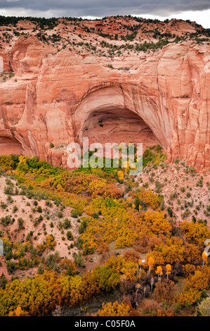 Navajo National Monument Betatakin bedeutet "Haus gebaut auf einem Felsvorsprung" Dies ist ein Beispiel für eine Indian Pueblo um 1250 gebaut Stockfoto