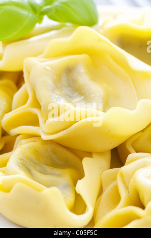 Gekochte Tortellini mit Basilikum als Closeup auf einem weißen Teller Stockfoto