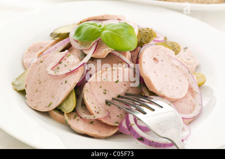 Bayerische Wurst Saland mit Zwiebelringen als Closeup auf weißen Teller Stockfoto