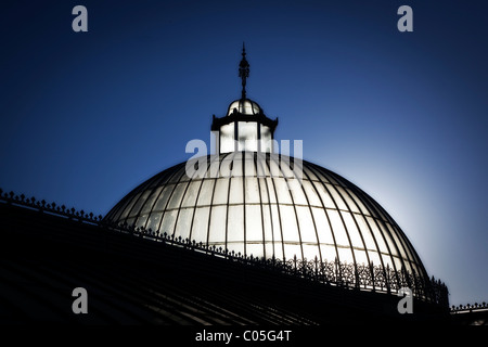 Restaurierten Kibble Palace Gewächshaus im Botanischen Garten in Glasgow Stockfoto