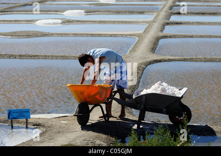 Vorbereitung von Salz aus den Salinen in Ile de Noirmoutier, Vendee, Frankreich Stockfoto