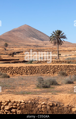 Die trockenen Inneren der Insel nördlich von Caldereta in der Nähe von La Oliva auf der Kanarischen Insel Fuerteventura Stockfoto