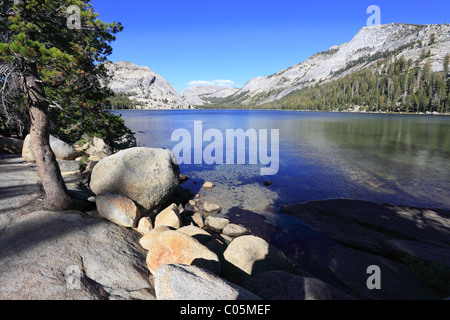 Felsige Ufer des Tenaya See im Yosemite-Nationalpark, Kalifornien Stockfoto