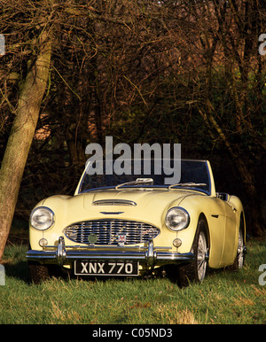 Austin Healey 100-Six ab ca. 1957 Stockfoto