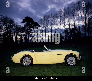 Austin Healey 100-Six ab ca. 1957 Stockfoto