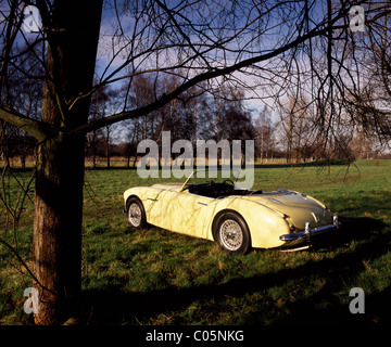 Austin Healey 100-Six ab ca. 1957 Stockfoto