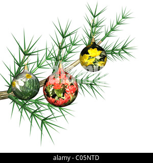 Tanne Spielzeug mit Blumen auf einem Tannenbaum Ast, es ist isoliert, 3d. Stockfoto