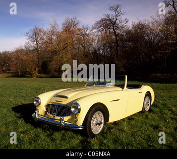 Austin Healey 100-Six ab ca. 1957 Stockfoto