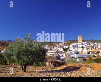 Spanien, Andalusien, Axarquia Region, Alhama de Granada Stockfoto