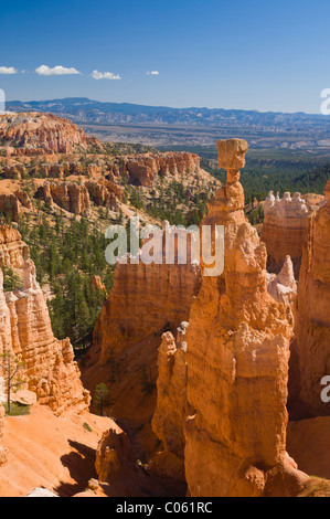 Sandstein Hoodoo und kultigen "Thors hammer" in Bryce CanyonNationalpark Utah Vereinigte Staaten von Amerika USA Stockfoto