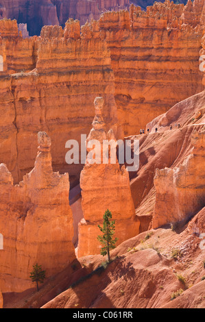 Sandstein Hoodoo und kultigen "Thors hammer" in Bryce CanyonNationalpark Utah Vereinigte Staaten von Amerika USA Stockfoto