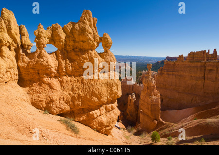 Sandstein Hoodoo und kultigen "Thors hammer" in Bryce CanyonNationalpark Utah Vereinigte Staaten von Amerika USA Stockfoto