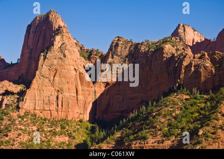 Der Kolob Canyons, Zion National Park, Colorado Plateau, Utah, USA Stockfoto